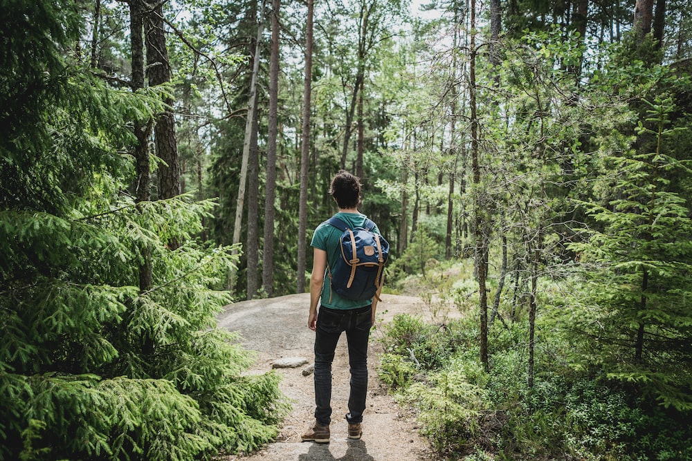 man wearing blue backpack walking through forest